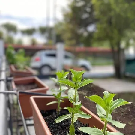 Casa Del Salice Lagoon View With Garden 公寓